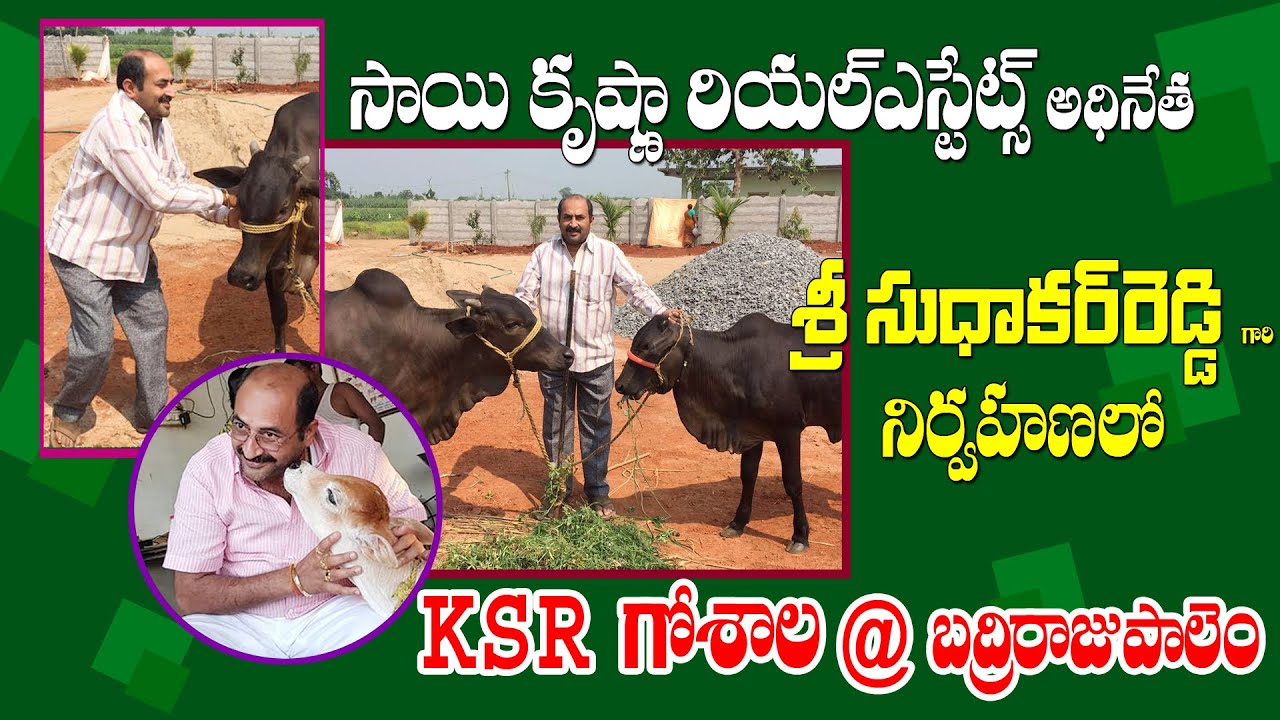 Special Interview with Mr. K Sudakar Reddy | KSR RX100 TV