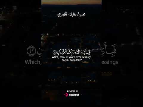 سورة الرحمن ظلال أنهار وفواكه من كل زوج فبأي آلائه تكذبان