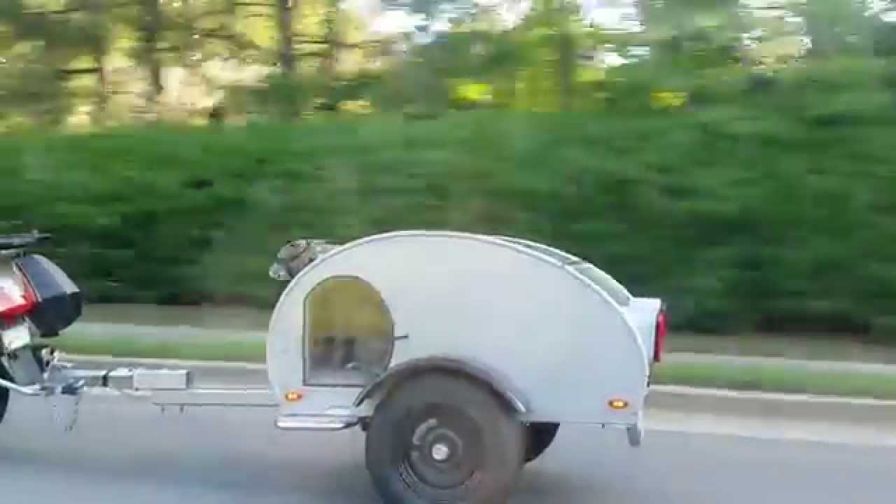 Maggie's Dog Trailer in use. PullinDaPooch YouTube