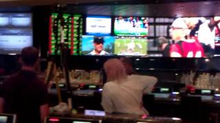 The New Venetian Sports Book