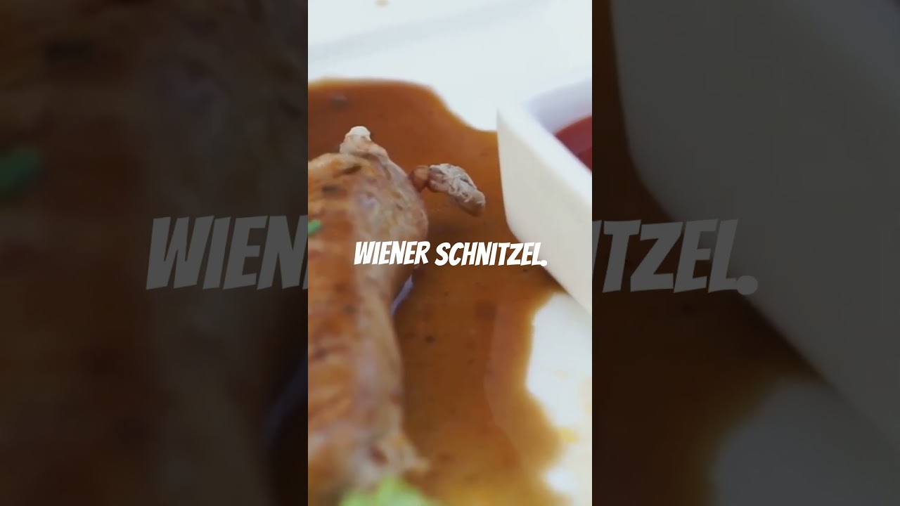 Travel to Vienna, Austria 