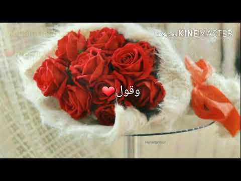 أنت وبس أيمن أمين