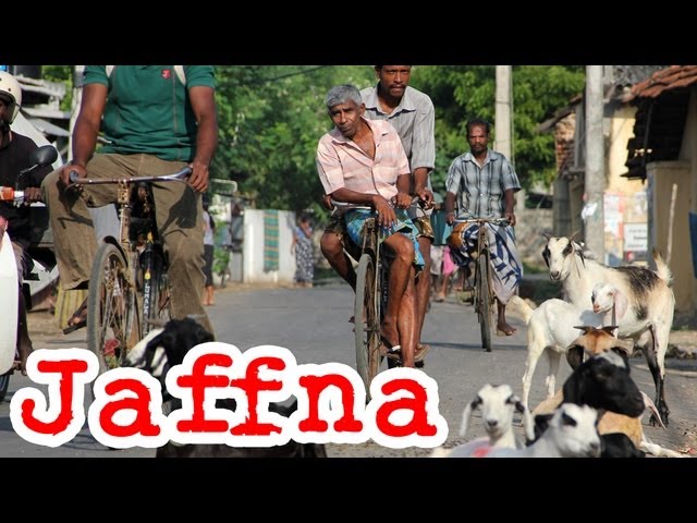 Jaffna Town: Travel Video of Northern Tamil, Sri Lanka (யாழ்ப்பாணம்) | Mark Wiens