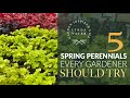 🪴🐣🪴 5 SPRING PERENNIALS Every Gardener Should Try❗️// Linda Vater