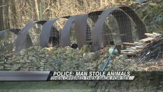 Wayne County Man Accused of Stealing Animals, Offering to Return Them in Exchange for Sex