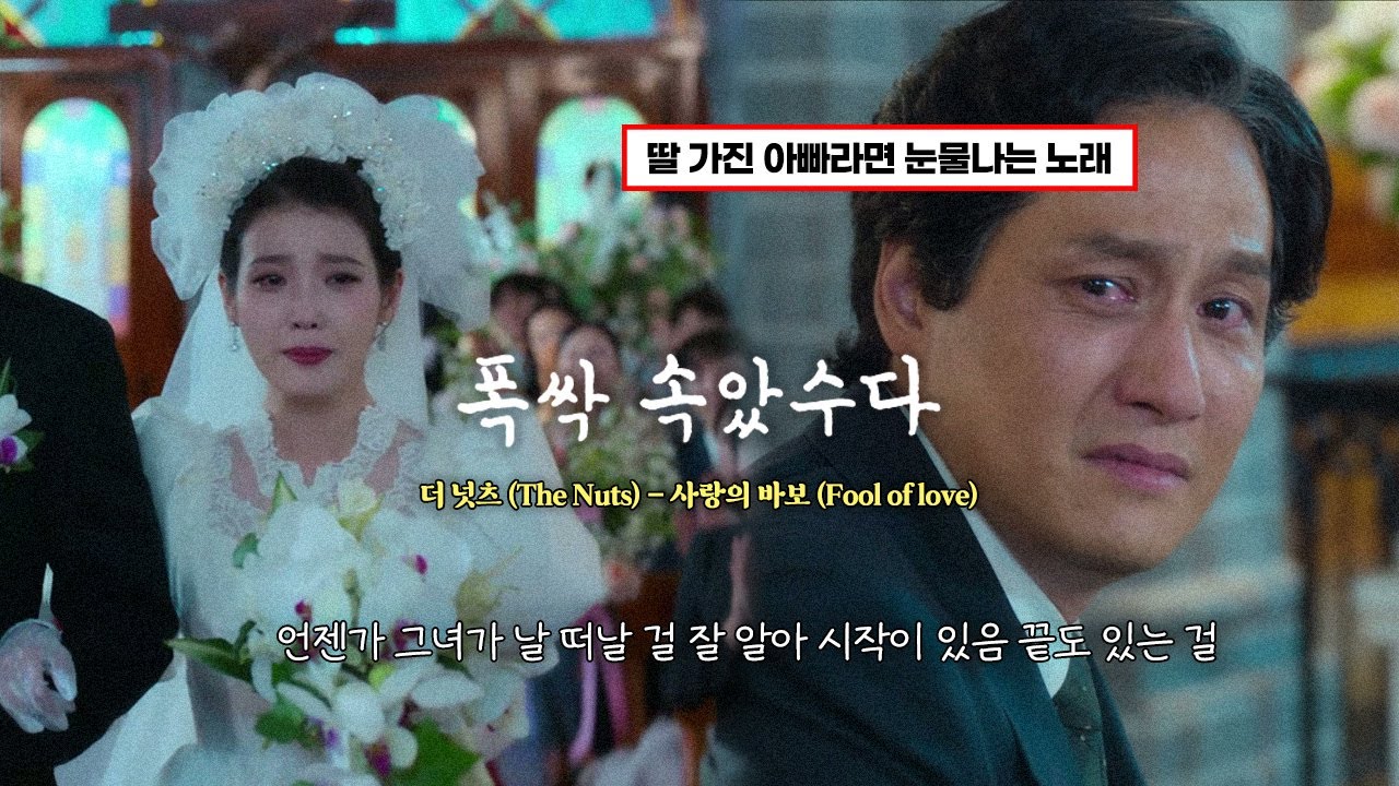 [폭싹 속았수다] 수 틀리면 빠꾸, 아빠한테로 와🍊: 더 넛츠 (The Nuts) - 사랑의 바보 (Fool of love)