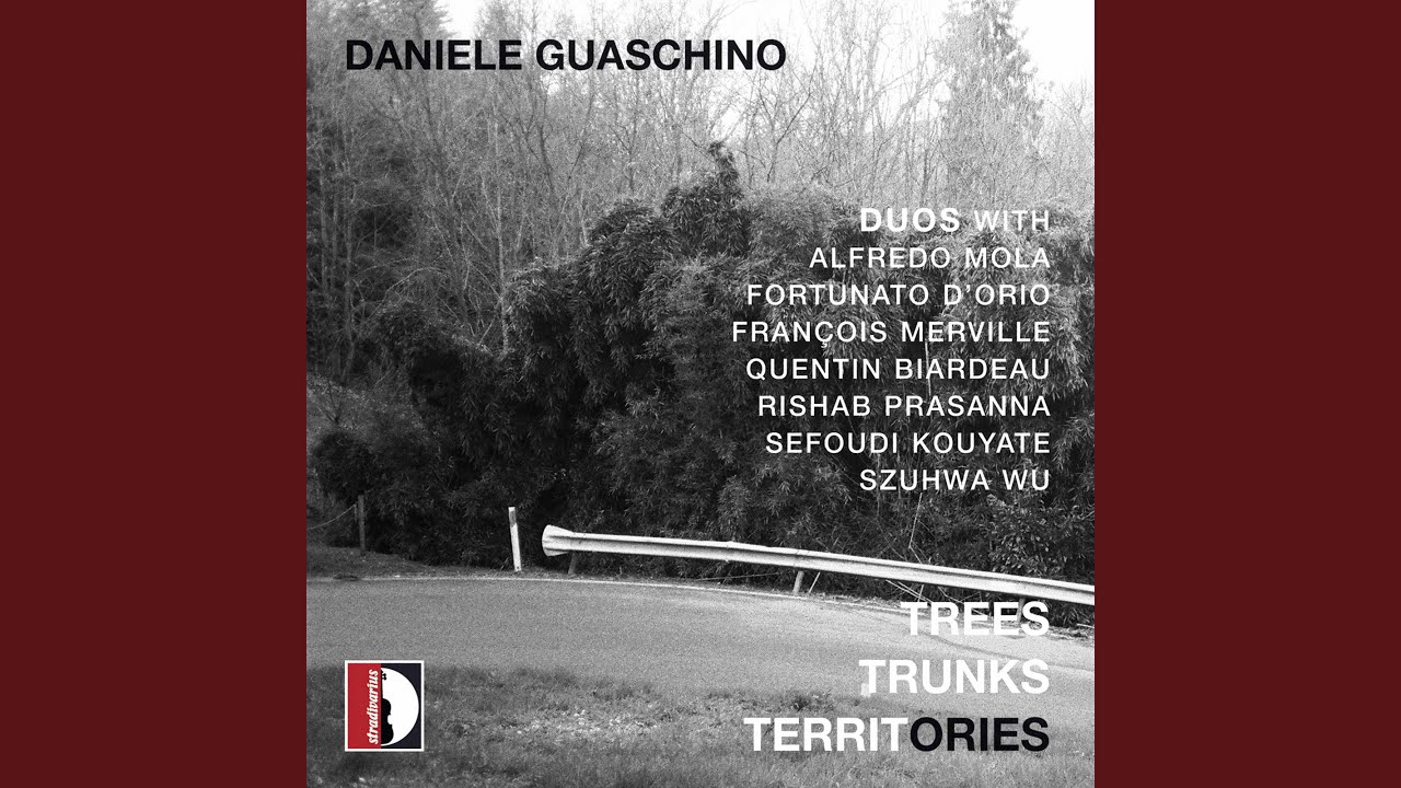 Cook Pine (Source 2)