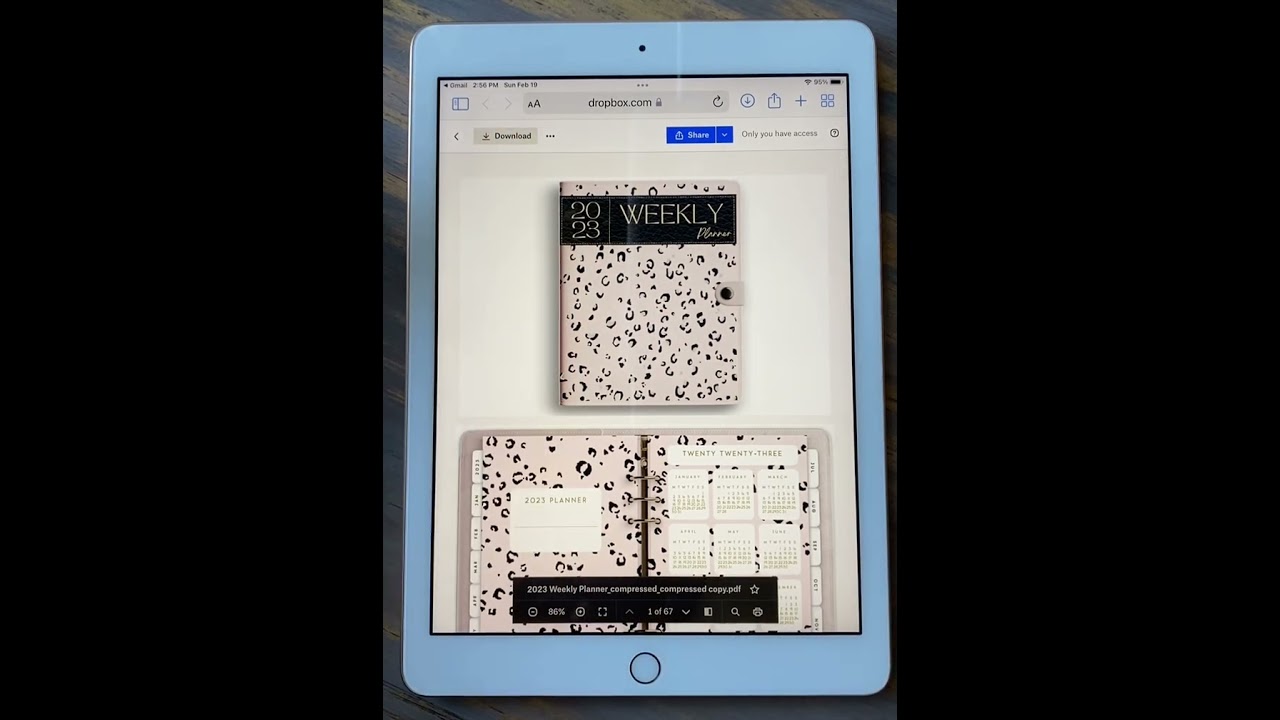 Digital download from DropBox using the Safari internet browser