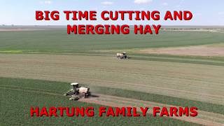 Update: i looked it up, is not even close to 100000 head, it's much
closer 10000 today, ron out in nw texas watching a custom chopping
crew putting ...