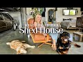 Tiny house expo adelaide  shed house tour  more than a house