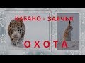 Кабано-Заячья ОХОТА!!! Пошел на зайца. а встретил кабанов!