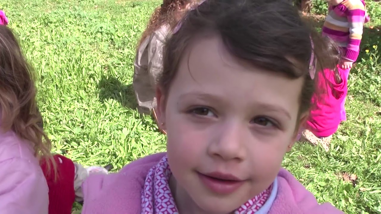 כך הולכים השותלים - נען 2012