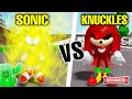 Cactus et sonic vs knuckles combat ultime  roblox  brookhaven rp