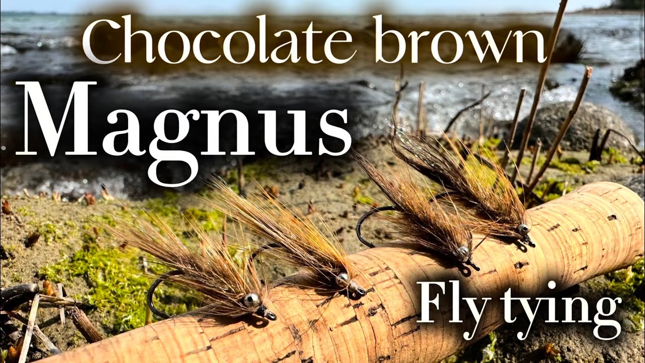 Allround • seatrout • fly