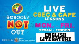 TVJ Schools Not Out: CSEC English Literature with Shirlene Woodburn - April 3 2020 screenshot 5
