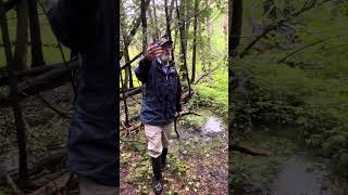 East Coulson swamp - one of the headwaters to the Coldwater River