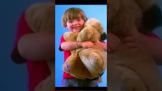 Pillow Pet Custom Commercial