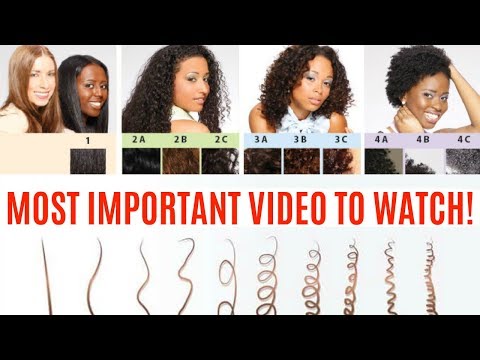 Curl Pattern Chart African American Hair
