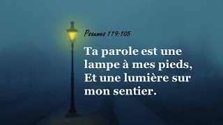 Temple Adventiste North Miami 05/18/2024: Sabbat Matin: École du sabbat 9h00 Service de culte 11h00