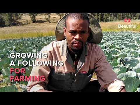 The farmer feeding South Africa through TikTok | Beautiful News