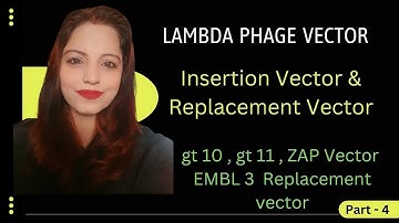 Lambda Phage Cloning Vector | Bacteriophage Vector |  Phage Vector For Cloning