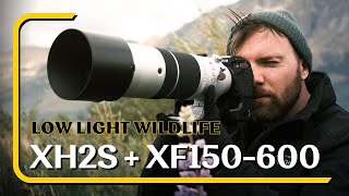 Wildlife Photography - Fujifilm X-H2s and XF150-600mm after using Nikon Z8