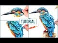 How to Draw a Realistic Bird using Coloured Pencils | Step by Step Drawing Tutorial