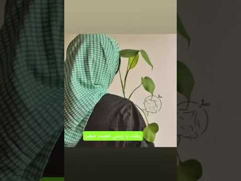 زمان وانا صغير هشام عباس