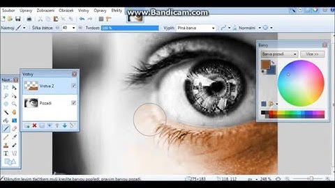 Paint.Net - How to Add Color to Black and White picture