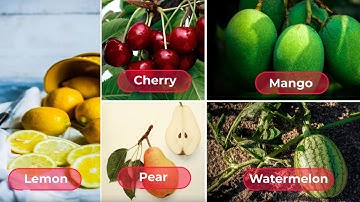 Bé học Tiếng Anh về các loại trái cây (phần 2) - Quả gì đây  - TiDocs