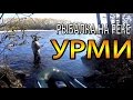 Осень на реке Урми