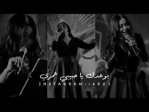 بوعدك يا حبيبى عمرى شوقى ليك ما فى يوم يقل