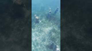 The Secret Underwater Statues Of Ocean Cay