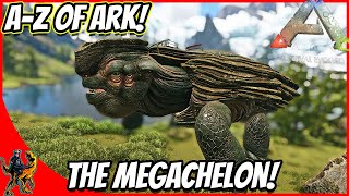 A-Z Of Ark! The MEGACHELON SWIMMING AND WALKING TANK!! || Ark Survival Evolved!