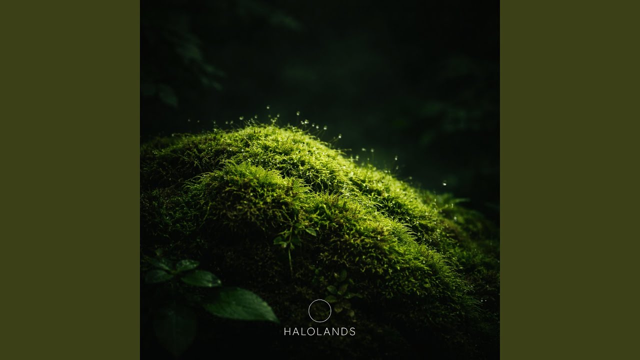 Moss (Solo Version) adlı videoyu YouTube'da izle Moss (Solo Version) adlı videoyu YouTube'da izle