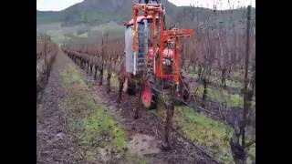 Rinieri CPL Pre-Prunner on Kubota M8540