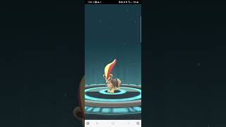 Litleo into pyroar #evolve #pokemon #pokemongo