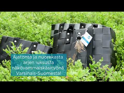 Video: Kurumba Malediivit, ensimmäinen yksityinen saarialue