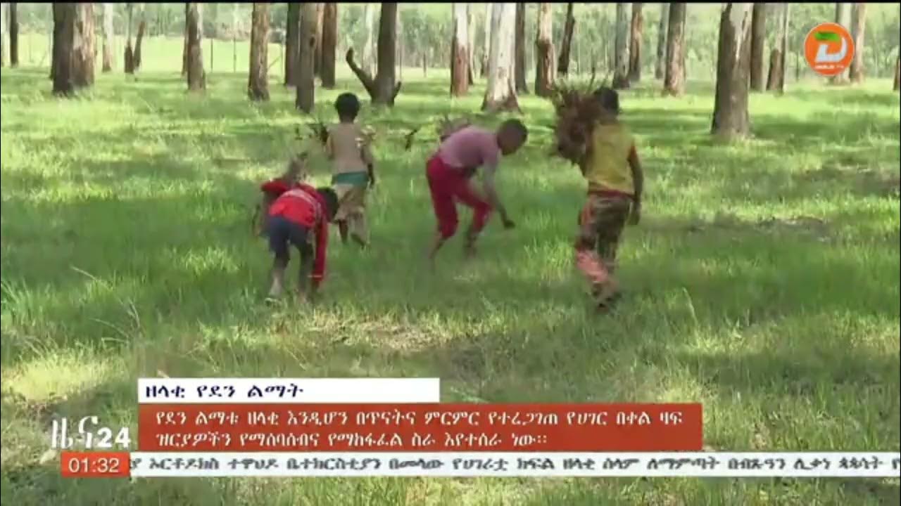 የደን ልማቱ ዘላቂ እንዲሆን በጥናትና ምርምር የተረጋገጠ የአገር በቀል ዛፍ ዝርያዎችን የማሰባሰብና የማከፋፈል