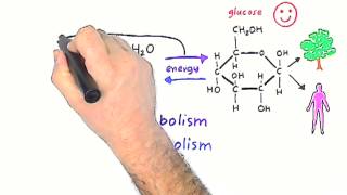 SECOND SERIES: what are biochemical reactions?