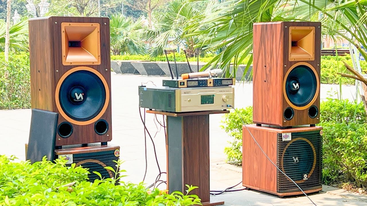 Giới thiêu bộ dàn karaoke Alpha12 chơi | 2 SUB HƠI 30 | uy lực, mạnh mẽ