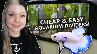 DIY Aquarium Divider