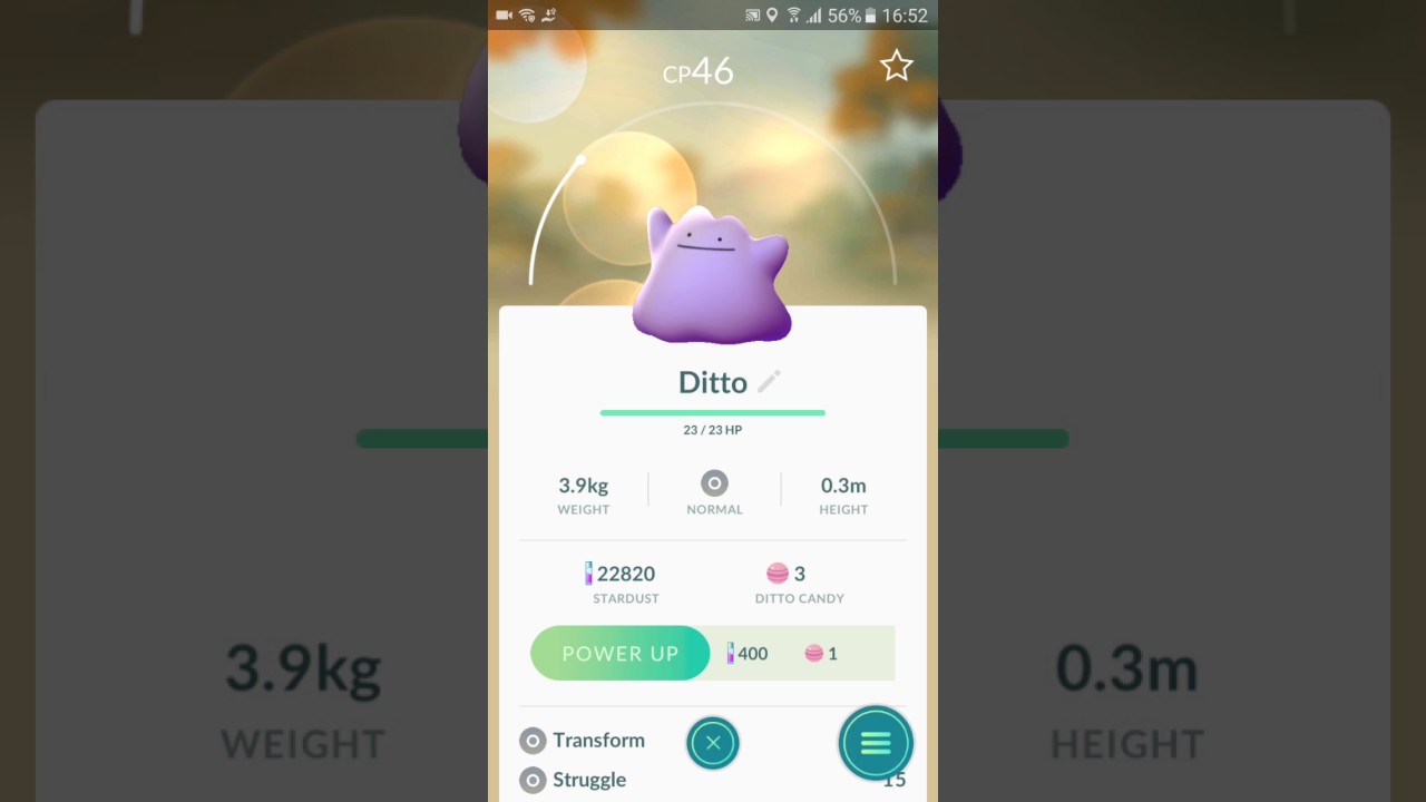 i have  found ditto rarest Pokemon in the world.have you guys??