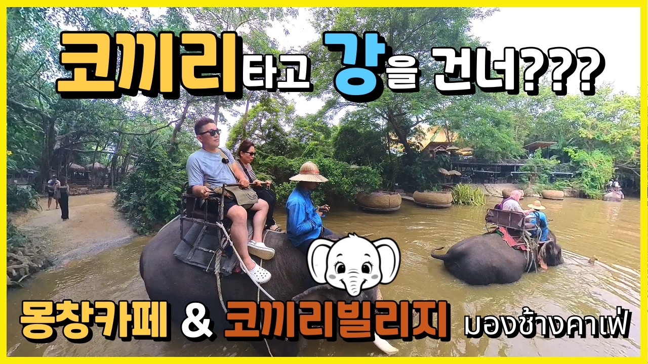 파타야에서 코끼리를 탈수 있는 몽창카페&코끼리빌리지에 갔는데 모두 만족하네요