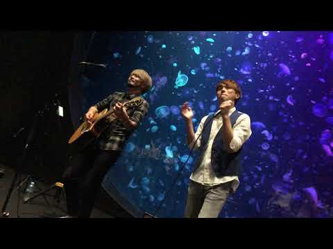 『まなざし♪/Honey L Days』加茂水族館『音楽の夕べ』