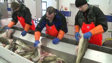 Fresh food processing equipment