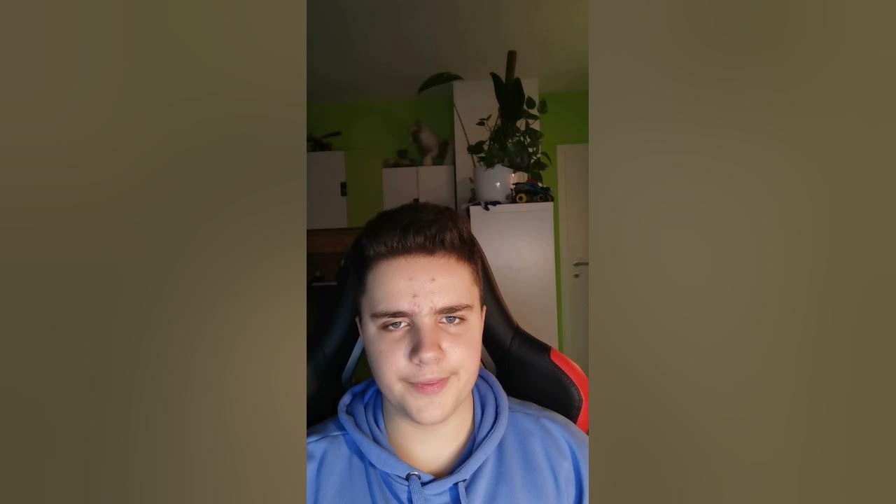 Brachypelma smithi (Rotknie Vogelspinne) haltungspinne vogelspinne