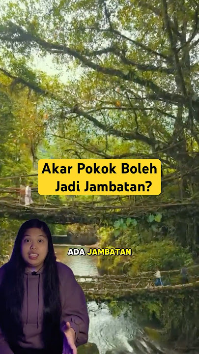Akar Pokok Boleh Jadi Jambatan?