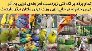 Multan Birds Market Price Update 2025 | Sunday Birds Market | Ring neck , Jawa ,Cocktail