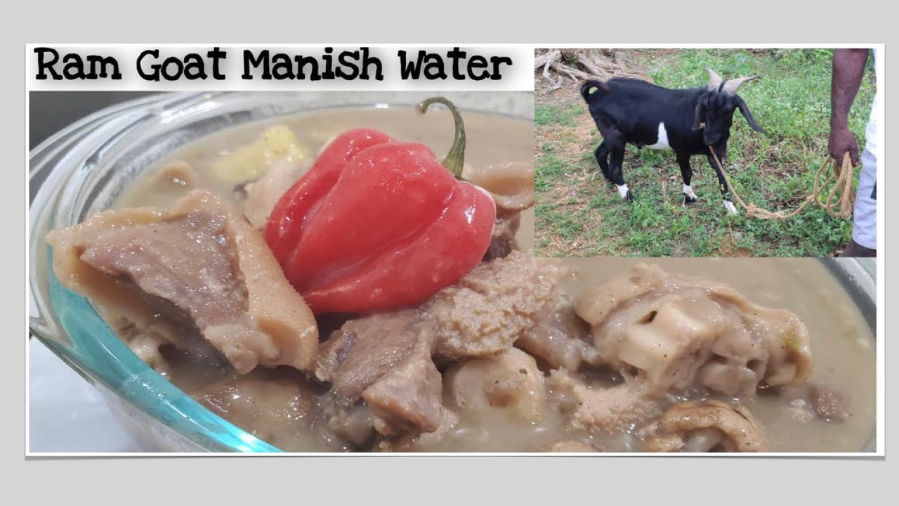 How To Prepare Jamaican Ram Goat Soup (Manish Water Good Fi Di Datta!)